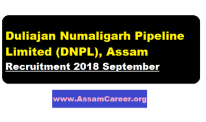 Duliajan Numaligarh Pipeline Limited (DNPL), Assam Recruitment 2018 September - Assam Career