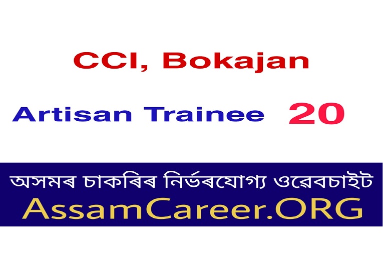 CCI, Bokajan Recruitment 2020 (OCT)