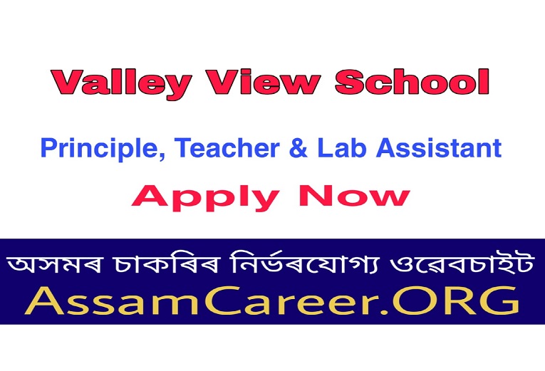 Valley View School, North Lakhimpur Recruitment 2020 (OCT)